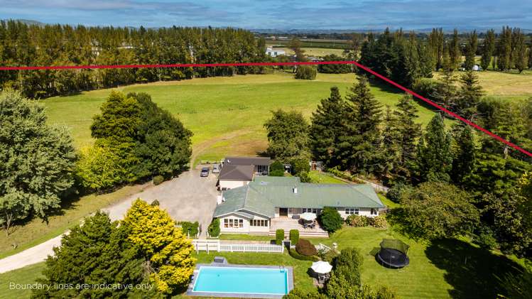 59 York Road Longlands_18