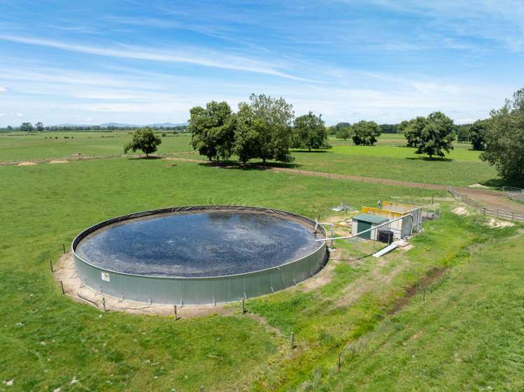 406 Manhire Road Morrinsville_9