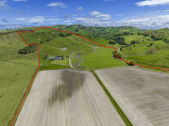 271 Awamate Road Wairoa Country_2