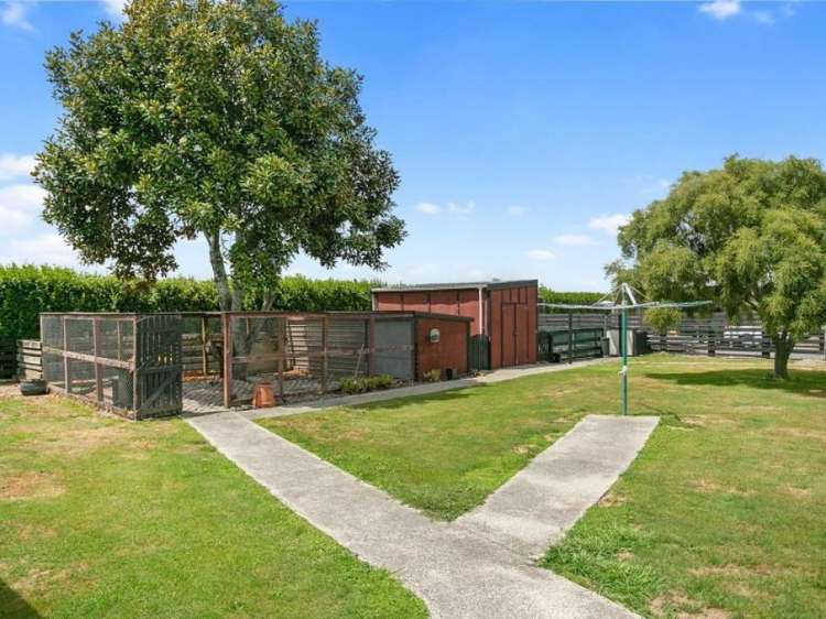 69A Roto O Rangi Road 1093_21