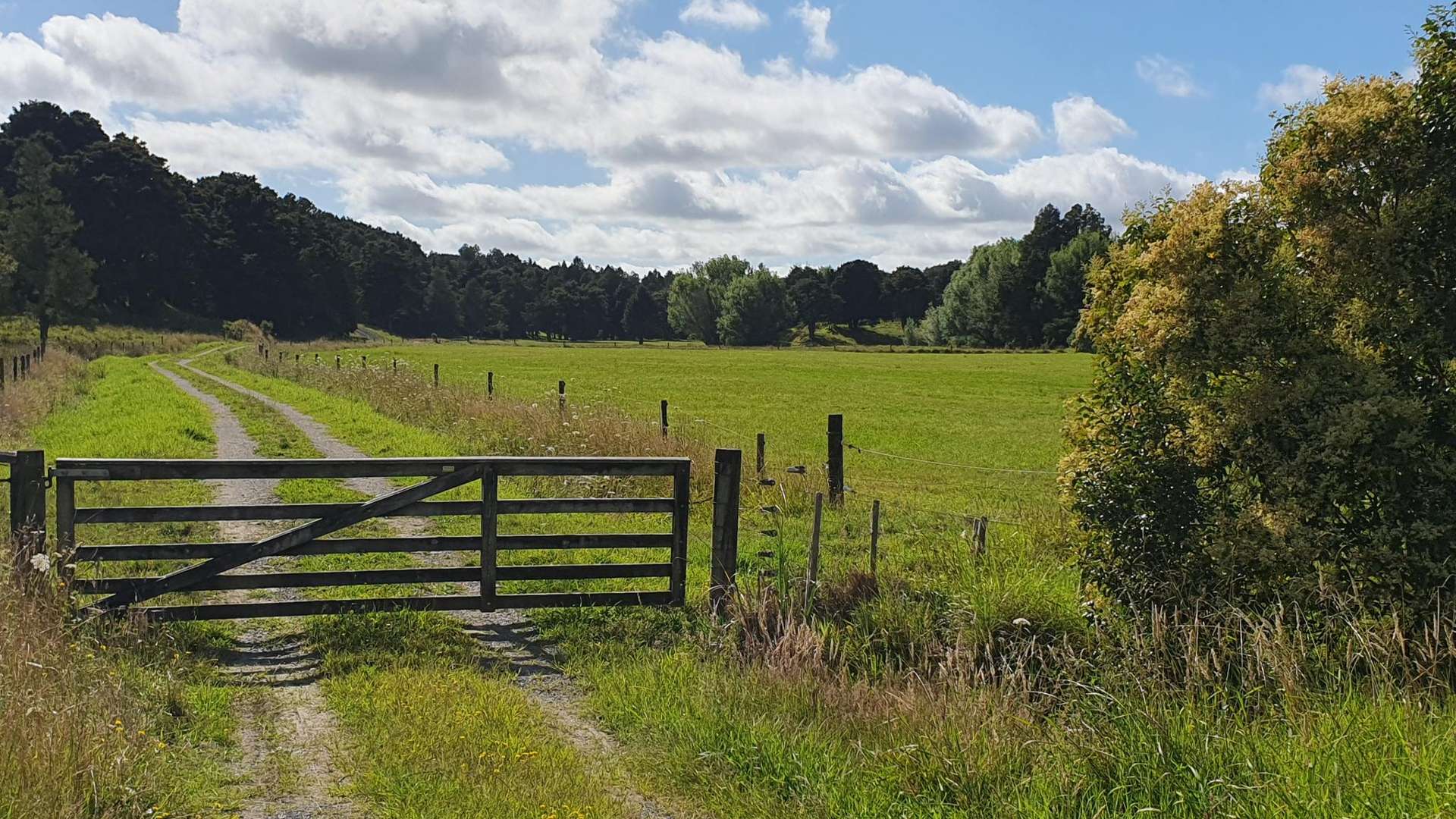 1241 Ararua Road Ararua_0