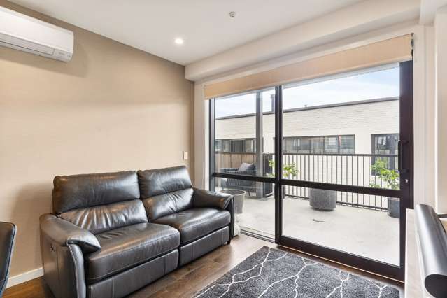 202/30a Enfield Street Mount Eden_1