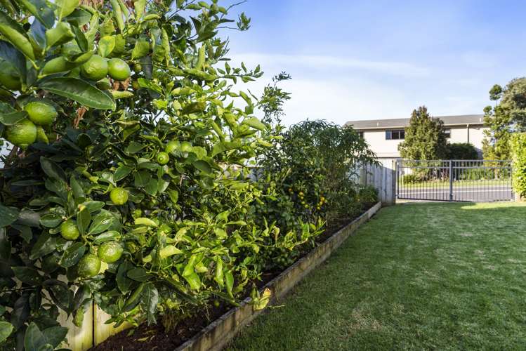 246 Onemana Drive Onemana_38