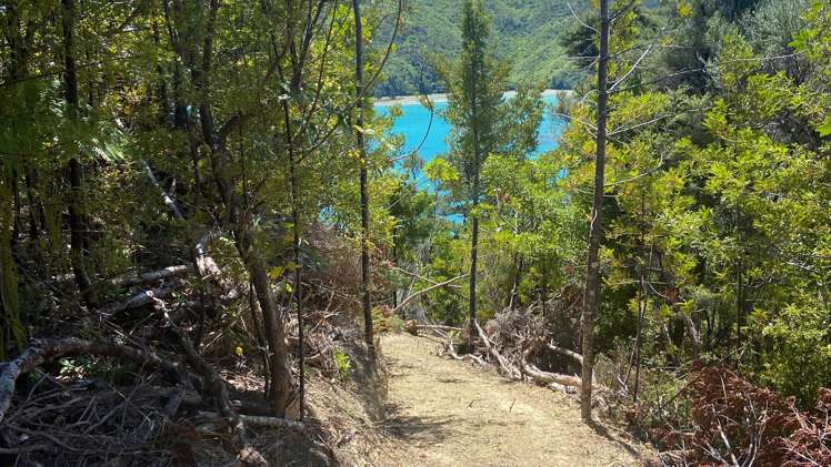 Lot 1 Croisilles-French Pass Road Okiwi Bay_15
