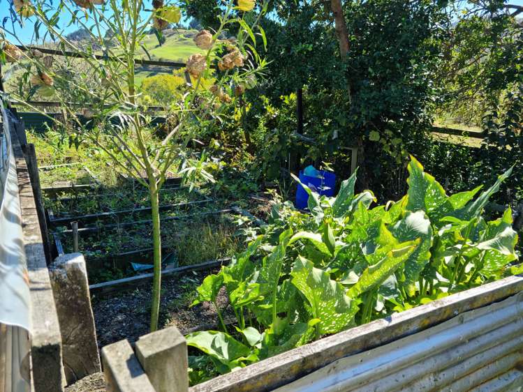 1938 Paparoa Valley Road Paparoa_25