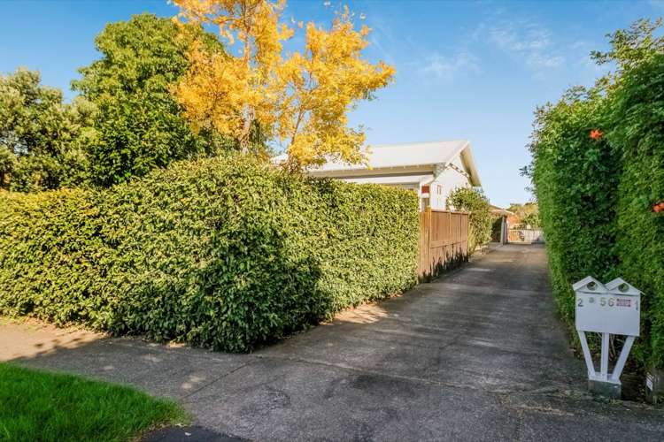 1/56 Rawhiti Road One Tree Hill_15