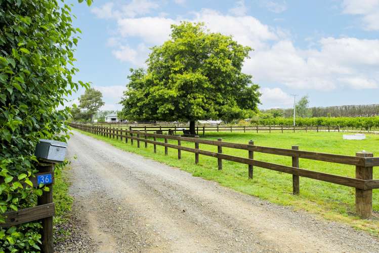 36 Bell Road Matawhero_6