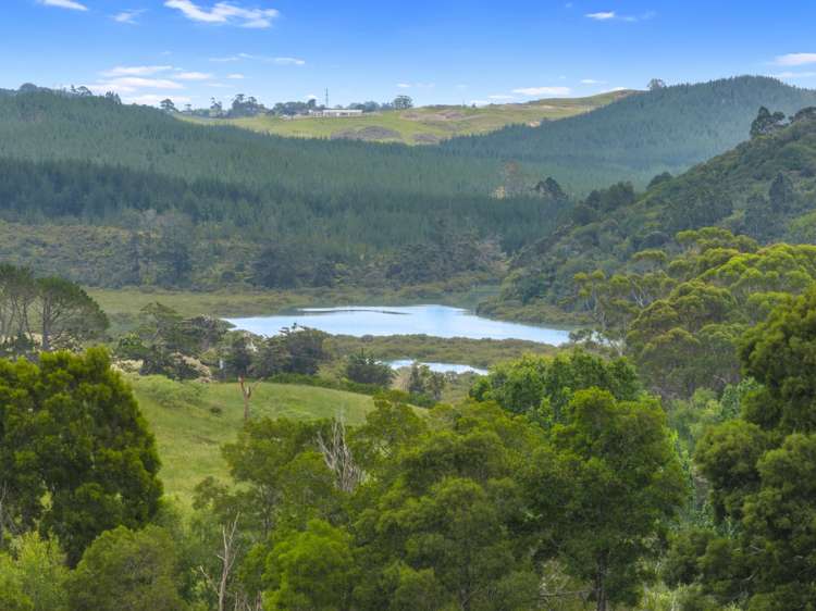 109 Okura River Road Okura_5