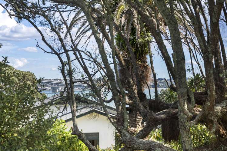 4 Clarence Road Northcote Point_19