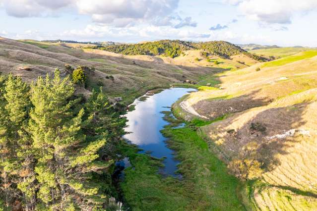 98 Rowland Road Dargaville Surrounds_3