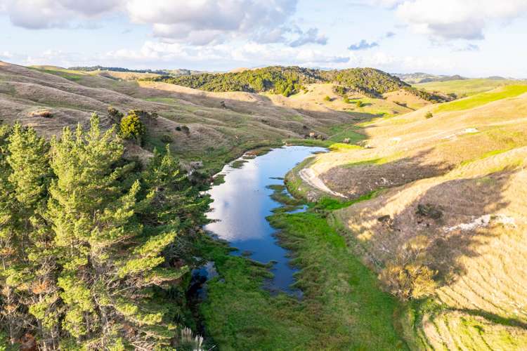 98 Rowland Road Dargaville Surrounds_3