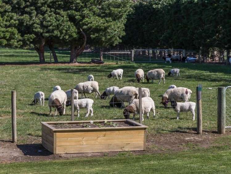 677 Dunsandel Brookside Road Dunsandel_17