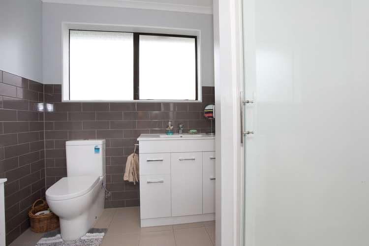 12 Hammond Street Bulls_10