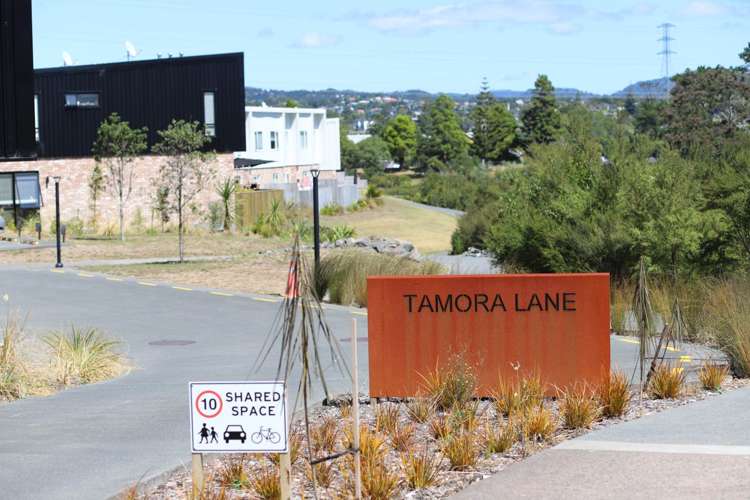 54 Tamora Lane Avondale_13