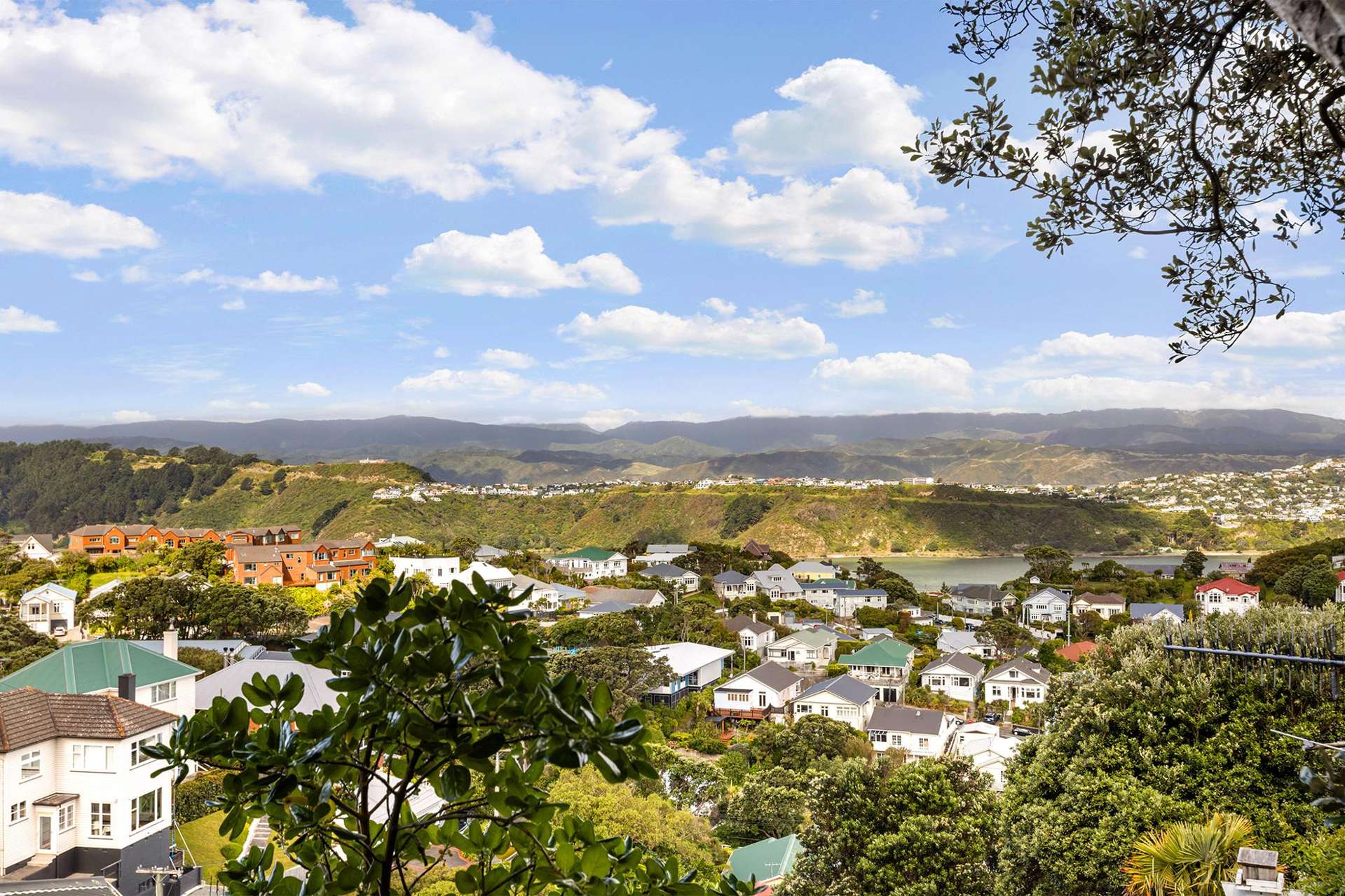 44 Ariki Road Hataitai_0