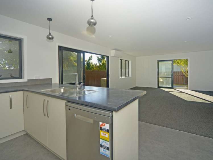 11a Montgomery Street Levin_1