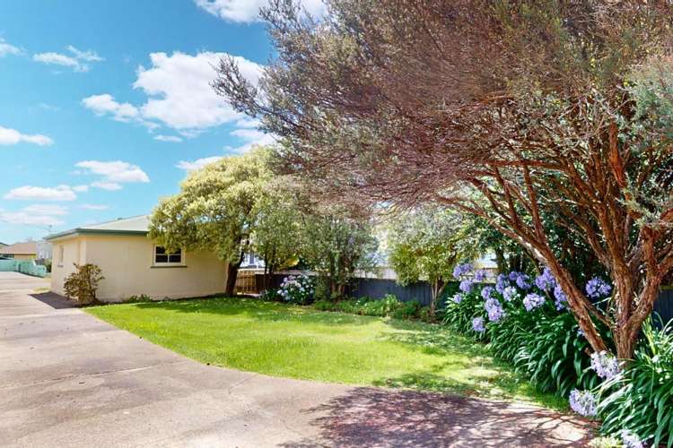 35 Guy Avenue Takaro_11