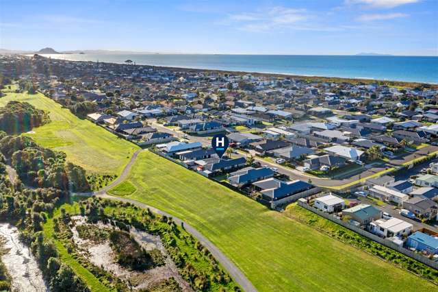 60 Butterworth Crescent Papamoa_2