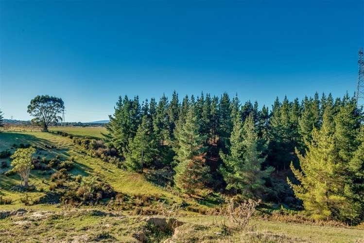 308b Cones Road Loburn_5