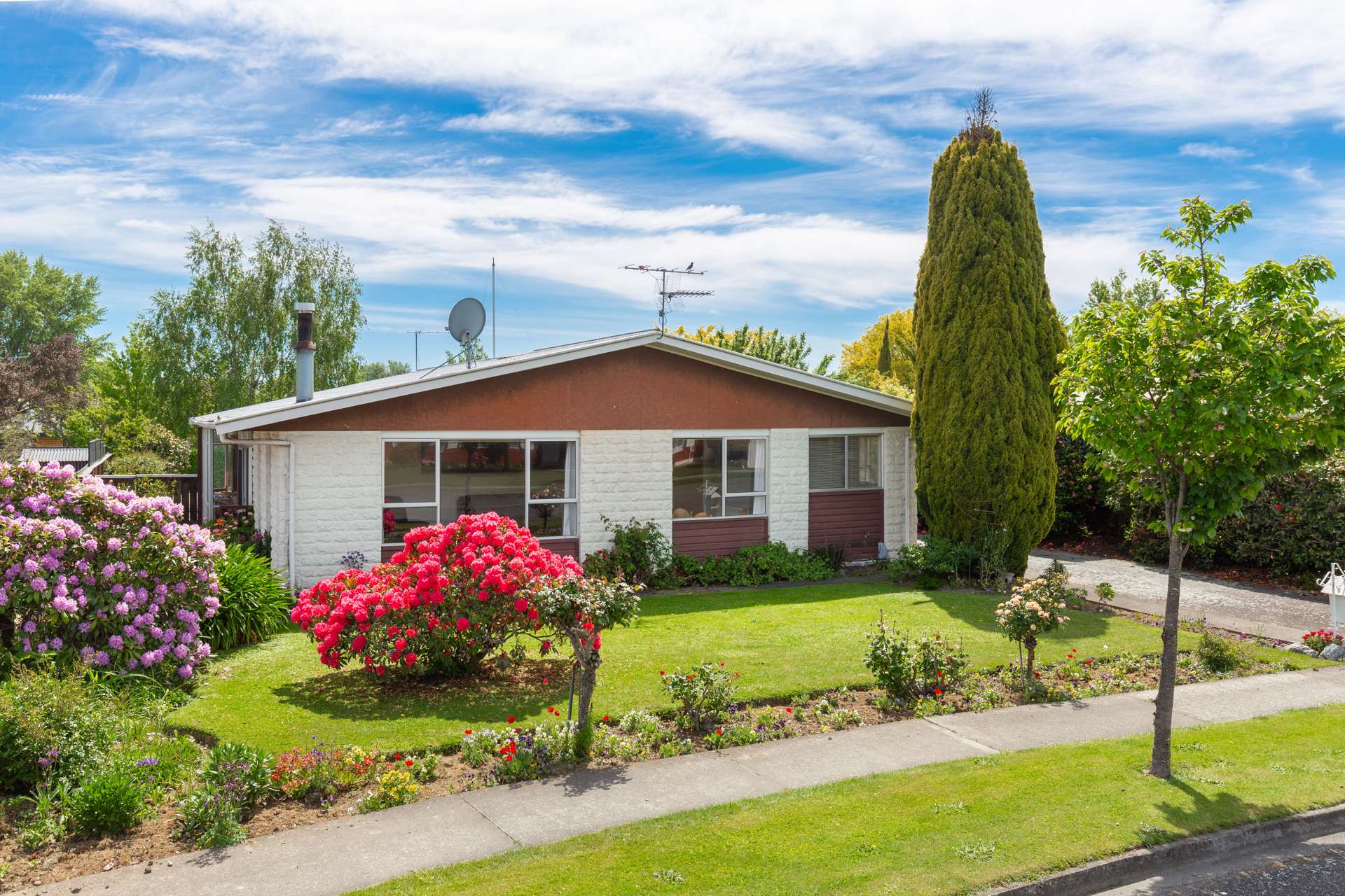 42 Leefield Street Blenheim Central_0