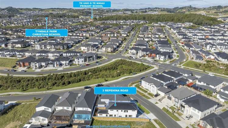 3 Repehina Road Flat Bush_18