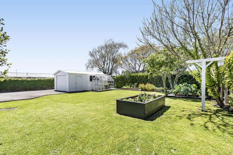 245A Carrington Street Vogeltown_43