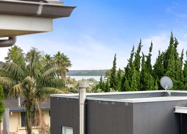 26 Walmsley Road St Heliers_25