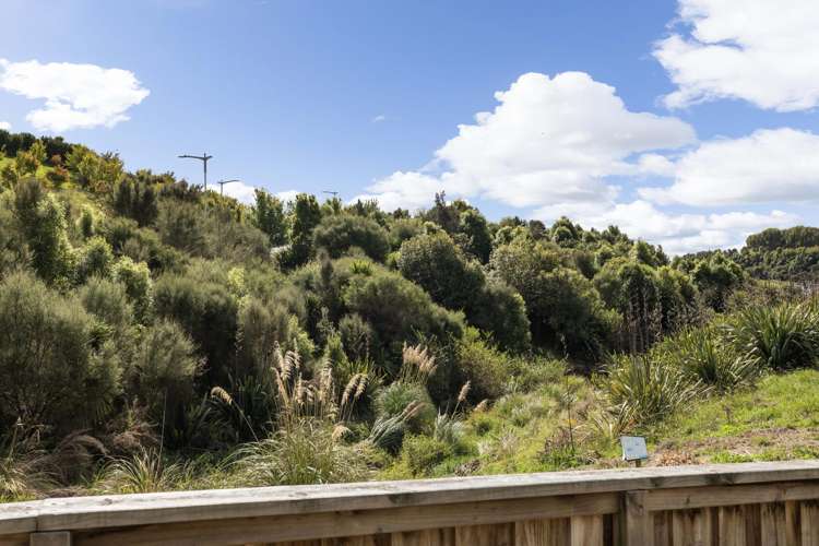 20 Pakanga Grove Pyes Pa_23