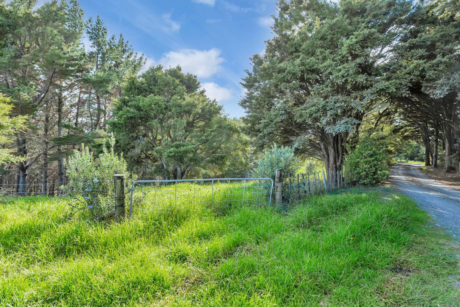 Campbell Road Parua Bay_0