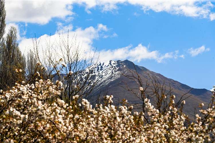 83b Black Peak Road Wanaka_60