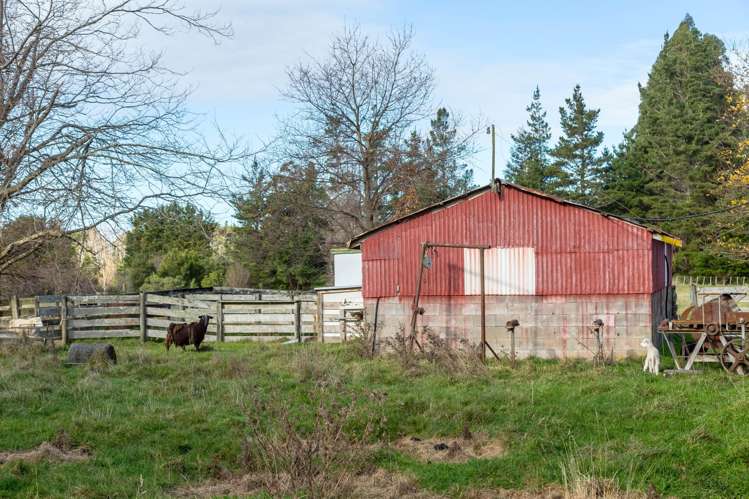 803 Norfolk Road Carterton_5