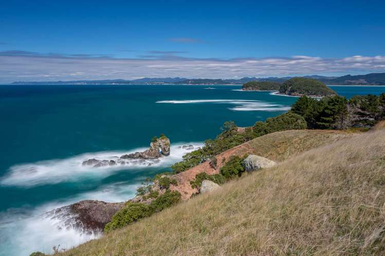 190 Pacific Ocean, Slipper Island (Whakahua) Thames_84