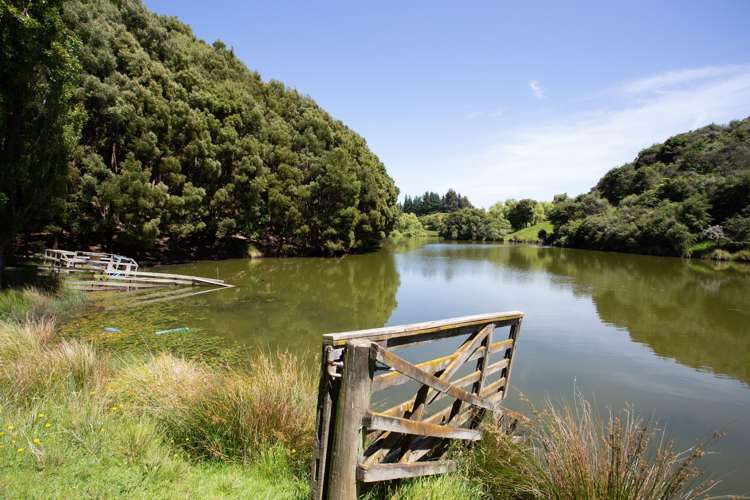 261a Roberts Avenue Aramoho_17