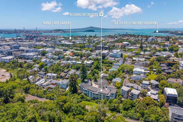 65 Gibraltar Crescent Parnell_27