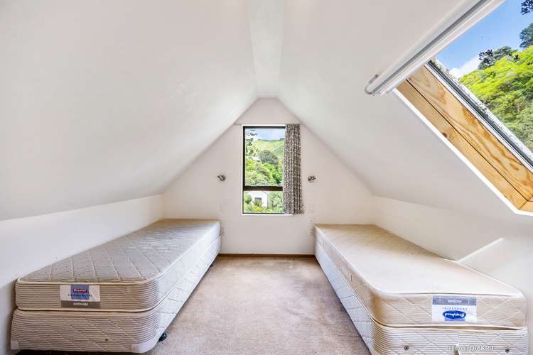 45 Holloway Road Aro Valley_6