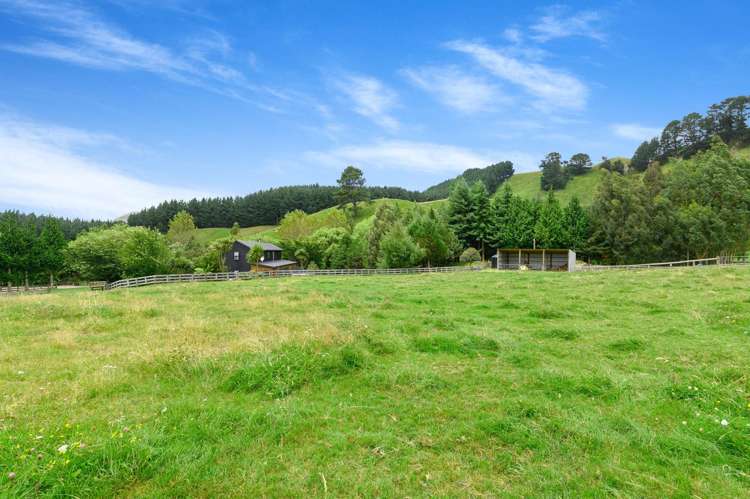 1765 Tutukau Road Kinloch_4