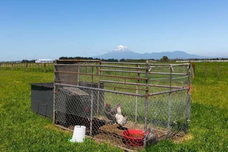 206 Waitara Road Waitara_42