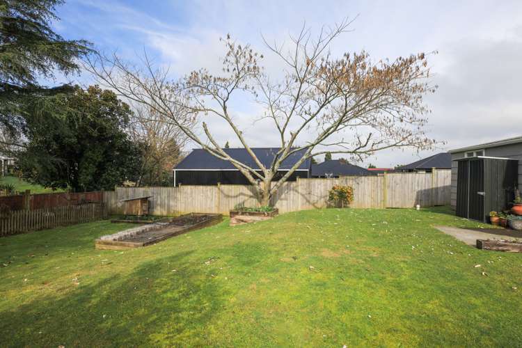 15 Carey Street Kihikihi_21