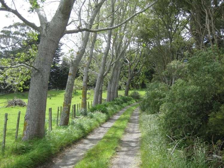 294 Mangahei Road Rangitikei Surrounds_14