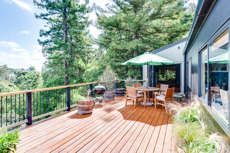 35 Lighthouse Road Bluff Hill_1