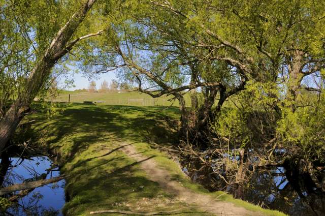 lot 3 Maytown Road Waimate_4