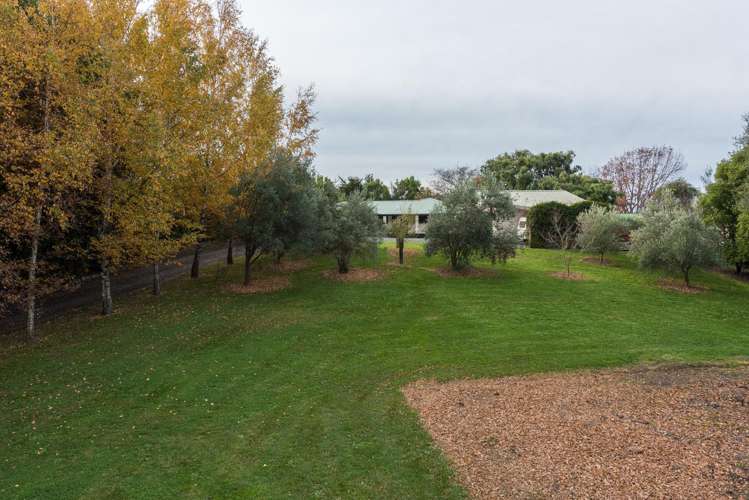 1 Harvey Place Renwick_28