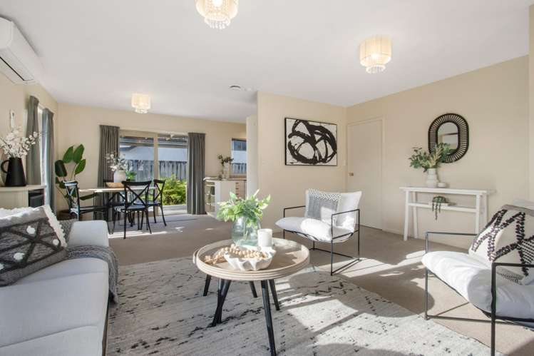 11b Gray Street Katikati_6