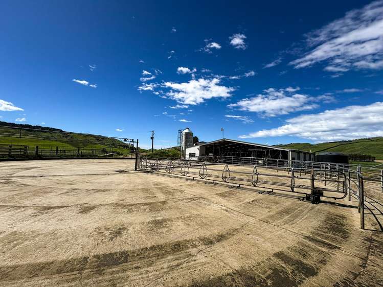 1024 Owaka Valley Road Owaka_8