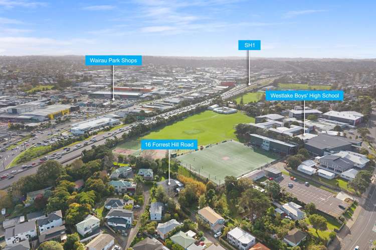 16 Forrest Hill Road Forrest Hill_27