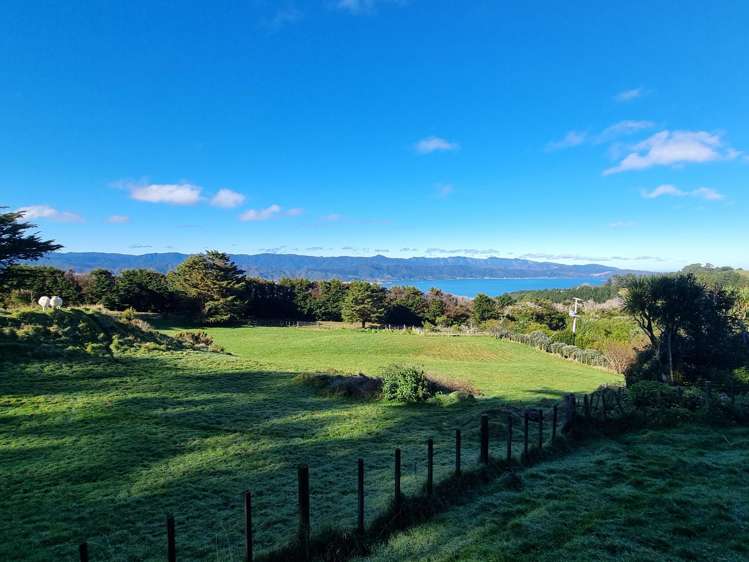 398 Horokiwi Road_3