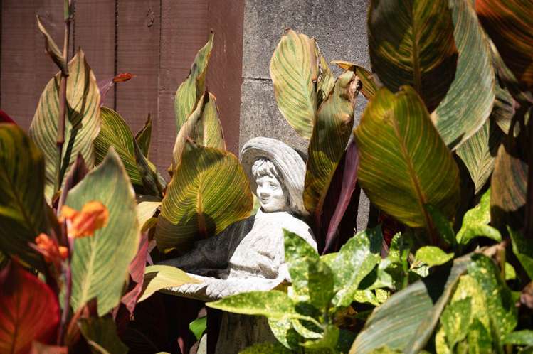 43 Tiverton Road Avondale_7