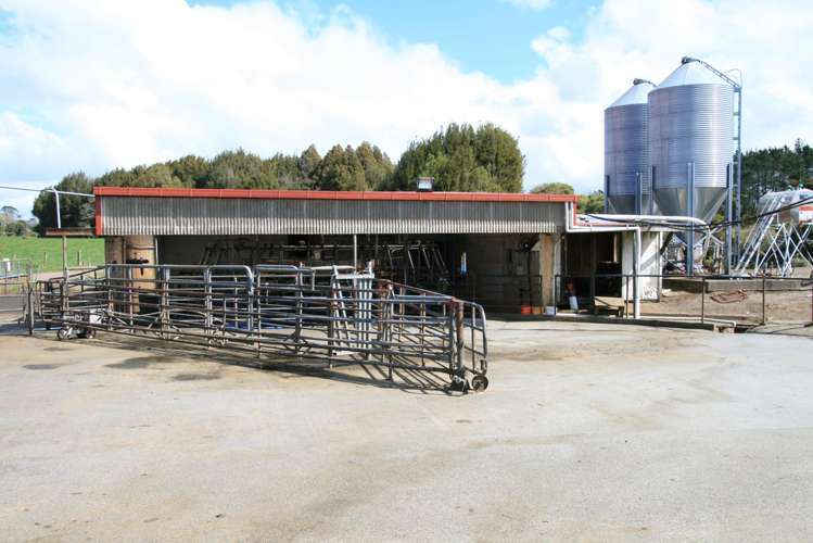 2403 Mountain Road Tariki_11