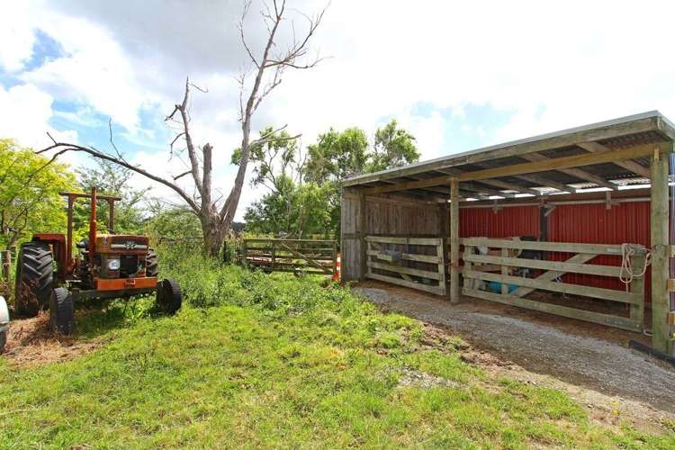 207 Postman Road Dairy Flat_21