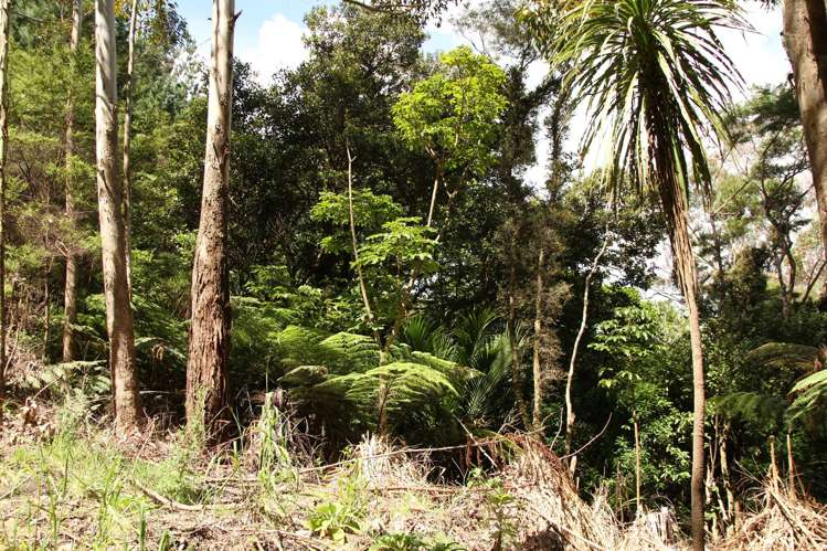 Puhata Road Herekino_11